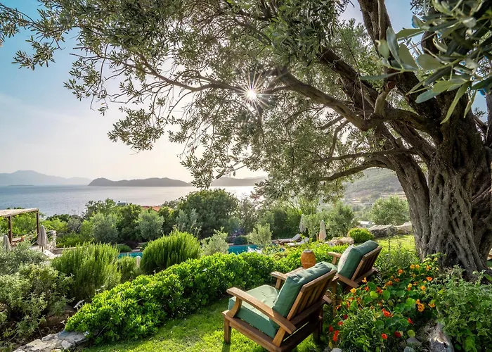 Hotel Bademli Bahce *